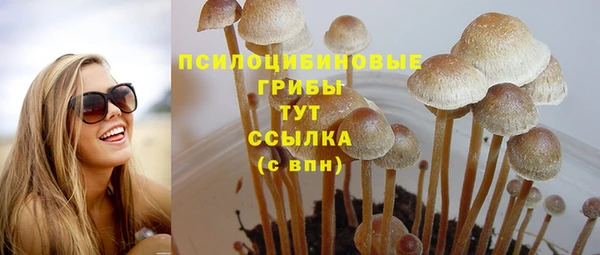MDMA Premium VHQ Бронницы