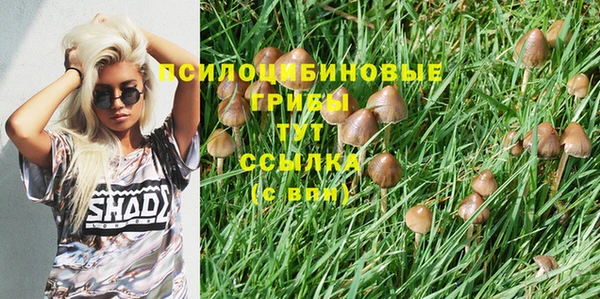 MDMA Premium VHQ Бронницы