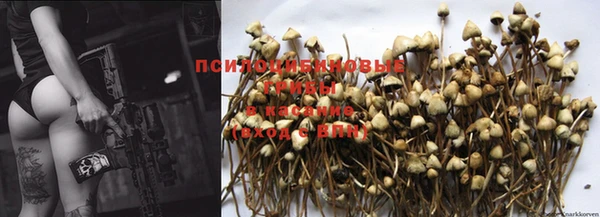 MDMA Premium VHQ Бронницы