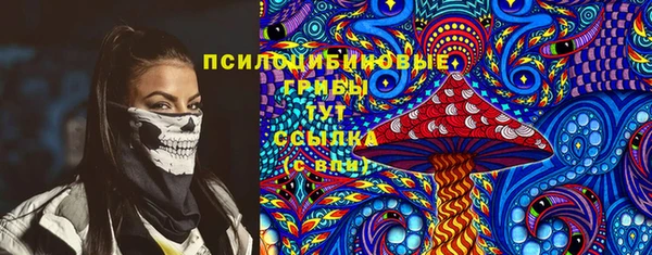 мяу мяу мука Бородино